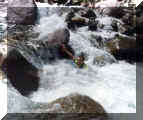 torrente.jpg (30956 byte)